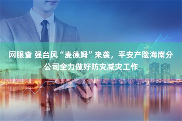 网眼查 强台风“麦德姆”来袭，平安产险海南分公司全力做好防灾减灾工作